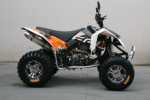 EGL ATV LYDA 300 RX